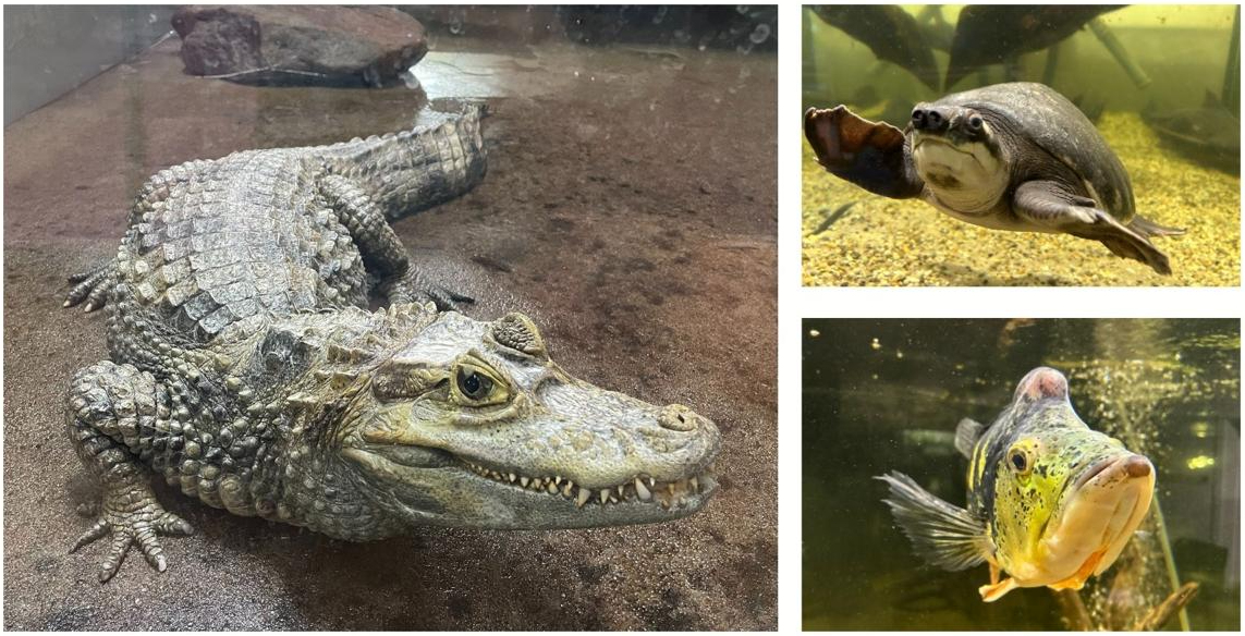 Vodní miniZOO Baška