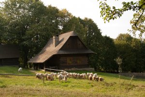 Valašské muzeum v přírodě
